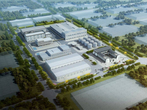 Daily 400-Ton Cottonseed Processing Project