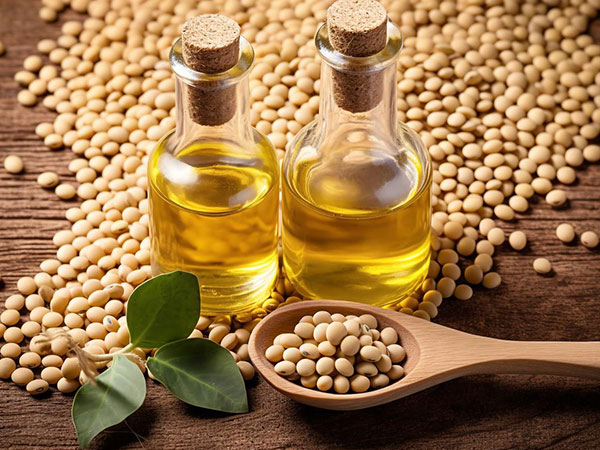 Advantages and disadvantages of oil processing technology