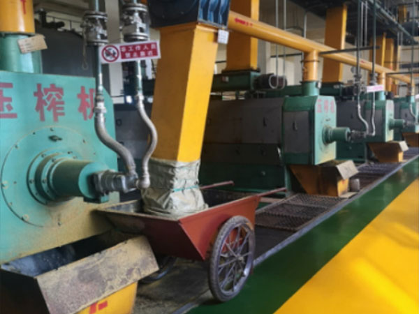 Layout Plan of Rapeseed Project