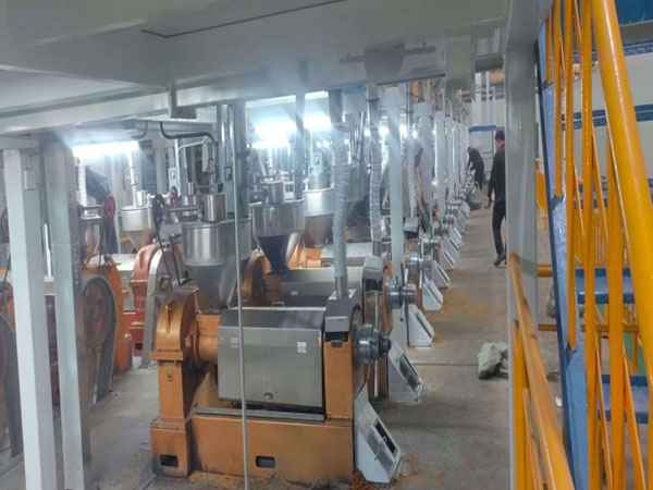 Oil Extraction Workshop of a 400-Ton-per-Day Soybean Processing Project